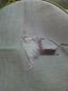 post-22814-1396073630_thumb.jpg
