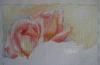 post-3183-1396029079_thumb.jpg