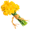 post-4922-1394701146_thumb.png