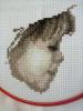 post-27250-1427014729_thumb.jpg