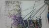 post-29329-1426343512_thumb.jpg