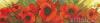post-4746-1426836388_thumb.jpg
