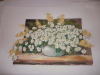 P1010188.GIF