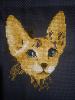 DSC00102.jpg