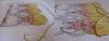 post-2-1302534161_thumb.jpg
