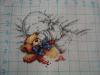 DSC01182.JPG