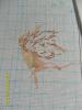 post-10052-1334560445_thumb.jpg