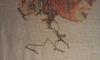 post-10292-1334606846_thumb.jpg