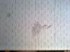 post-2-1333879678_thumb.jpg