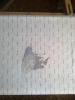 post-812-1333707871_thumb.jpg