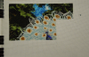 post-14342-1364853458_thumb.png
