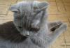 post-15666-1365062879_thumb.jpg