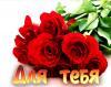 post-15717-1365872954_thumb.jpg