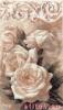 post-18982-1366124253_thumb.jpg
