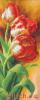 post-2-1365318925_thumb.jpg