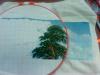 post-2-1365325111_thumb.jpg