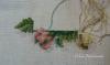 post-2-1365326804_thumb.jpg
