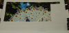 post-2-1365444713_thumb.png