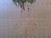 post-2-1365706650_thumb.jpg