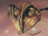 post-2-1365965730_thumb.jpg