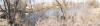 post-12795-1397834911_thumb.jpg