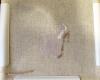 post-16480-1397990905_thumb.jpg