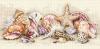 Dimensions 65035, Морские сокровища (Seashell Treasures)