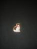 post-2-1397393832_thumb.jpg