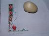 post-2-1397399359_thumb.jpg