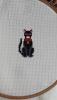post-2-1398005119_thumb.jpg