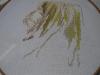 post-2-1398010521_thumb.jpg