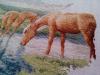 post-20842-1396822384_thumb.jpg