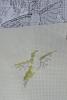 post-21170-1397056466_thumb.jpg