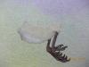 post-21725-1396418998_thumb.jpg