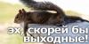 post-25279-1397024255_thumb.jpg