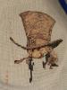 post-3183-1397341959_thumb.jpg