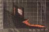 post-3183-1397765078_thumb.jpg