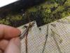 post-12204-1430334421_thumb.jpg