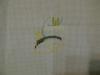 post-13081-1430159790_thumb.jpg