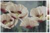 409025_ccccf_86200252_m750x740_ube1dd.jpg