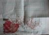 post-20133-1429864008_thumb.jpg