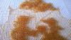 post-20343-1428830626_thumb.jpg