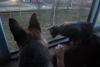 post-22188-1428489518_thumb.jpg