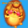 post-22759-1427880116_thumb.png