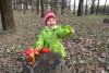 post-26166-1430078101_thumb.jpg