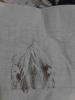 post-31142-1428638161_thumb.jpg