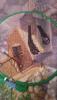 post-3183-1428692704_thumb.jpg