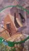 post-32788-1428692536_thumb.jpg