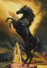 Kustom Krafts 99977, Black Stallion, ПОДБОР