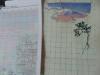 DSC00886.JPG